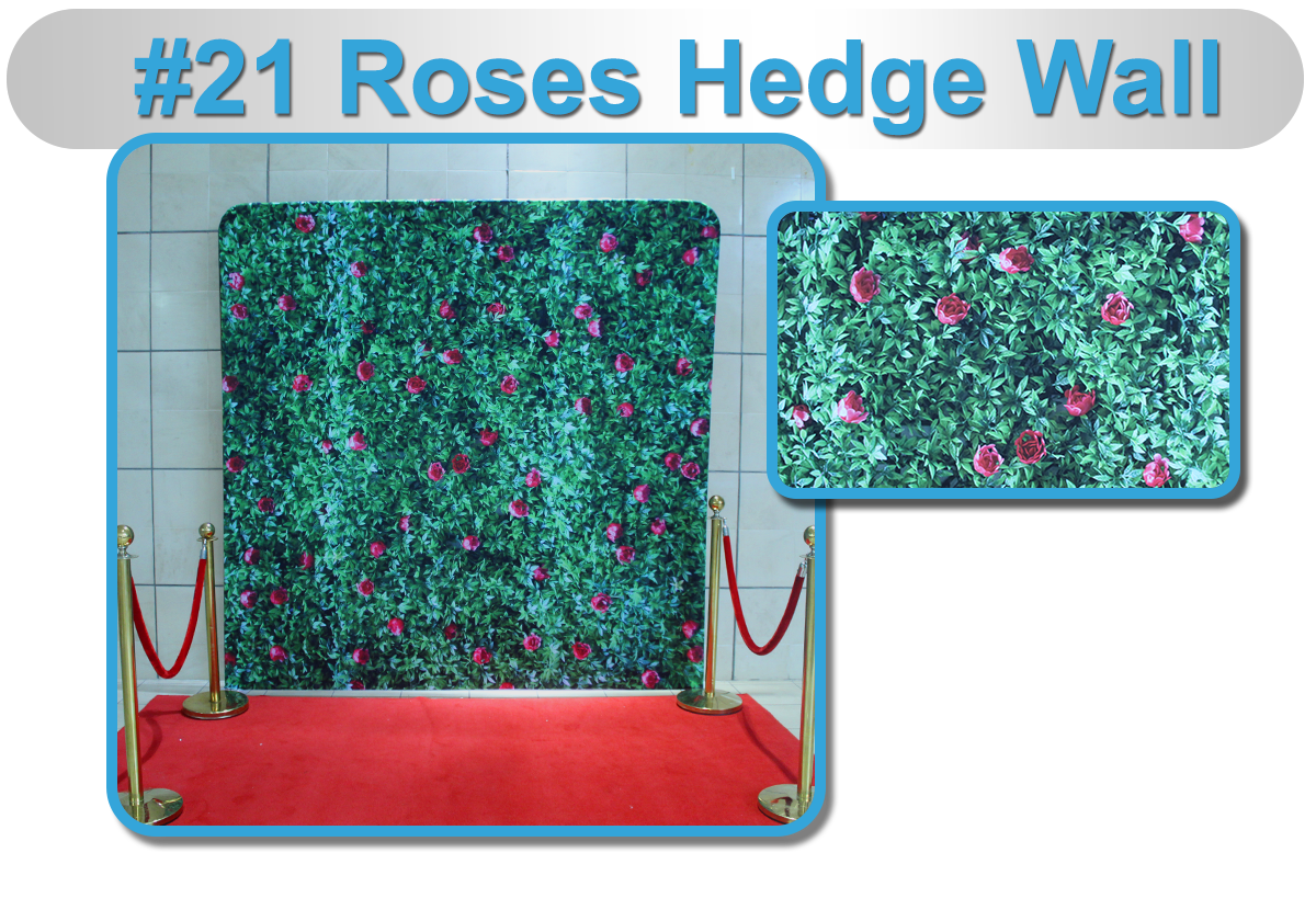 21 Roses Hedge Wall
